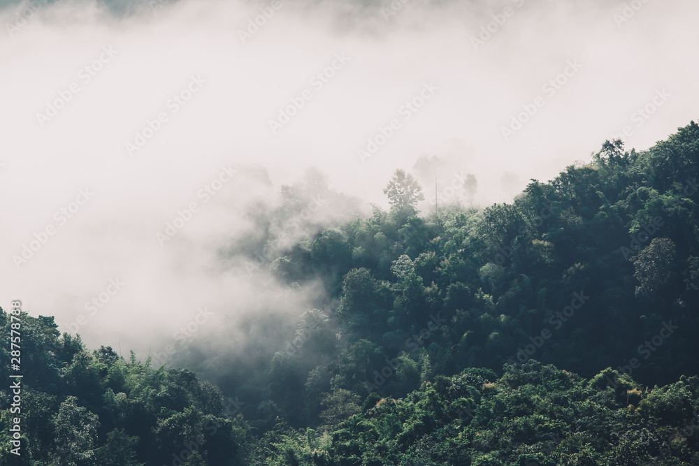 Fototapeta premium Beautiful summer landscape in the mountains with the sunset