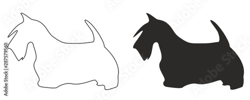 Black and contour silhouette of the Scottish Terrier side view