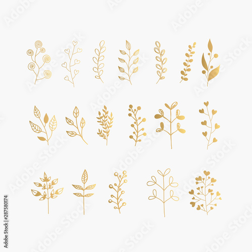 Collection of Gold Hand Drawn Floral Elements. Vector Frames and  Leaves, Flowers and Herbs