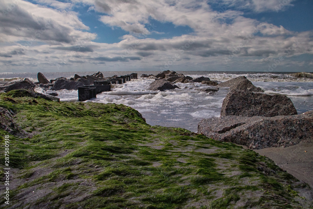 algae water beach rocks 