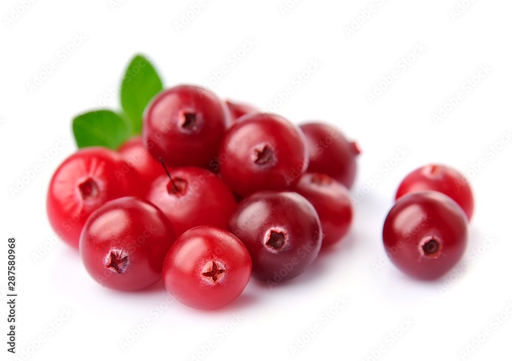Sweet cranberries with leafs.