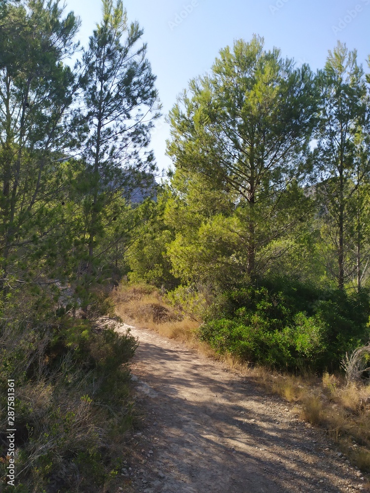Fototapeta premium The natural park of the desert of las palmas in Castellon