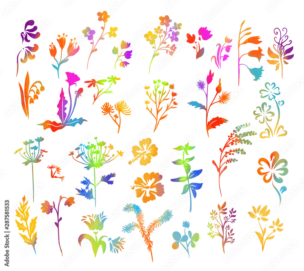 Set of multi-colored silhouettes of flowers. Vector illustration