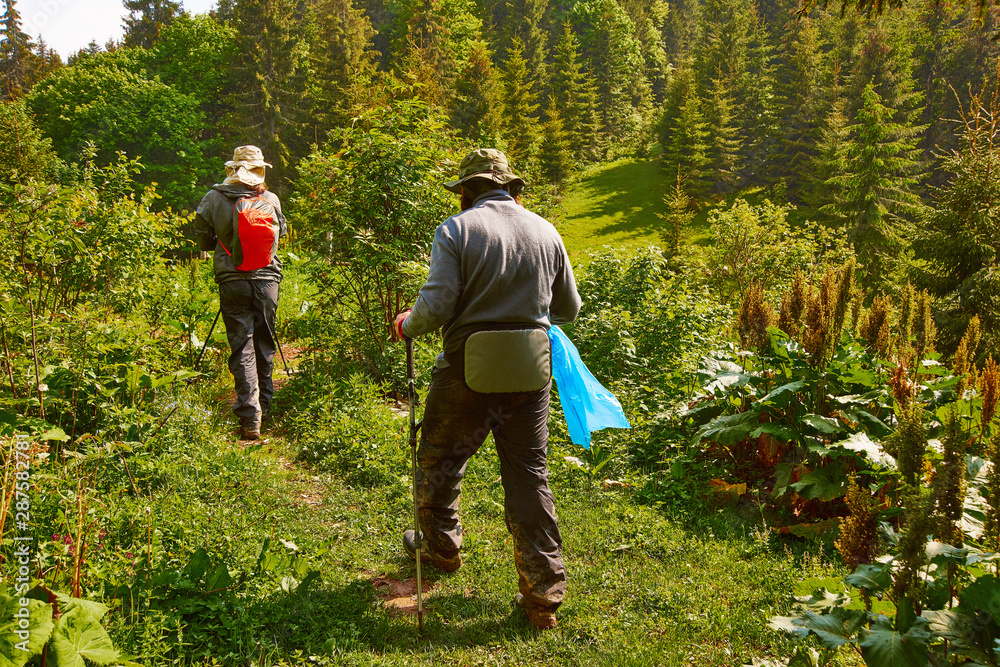Two man walk through the forest high in the mountains and collect garbage in a garbage bag. protect the nature concept Two man walk through the forest high in the mountains and collect garbage in a garbage bag. protect the nature concept