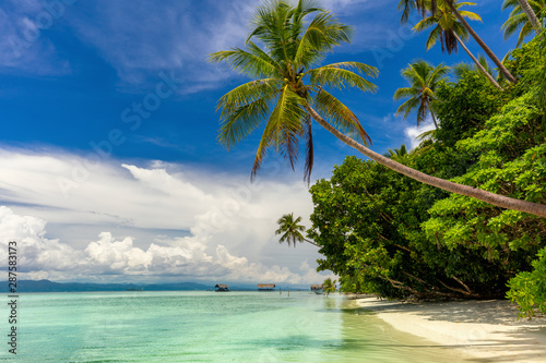 Paradise island -  landscape of tropical beach - calm ocean, palm trees, blue sky