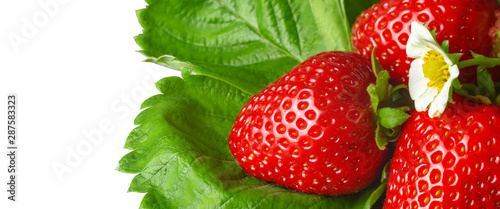 Beautiful and delicate strawberry with flower and green leaves closeup. Macro image of fresh strawberry with white flower on white background