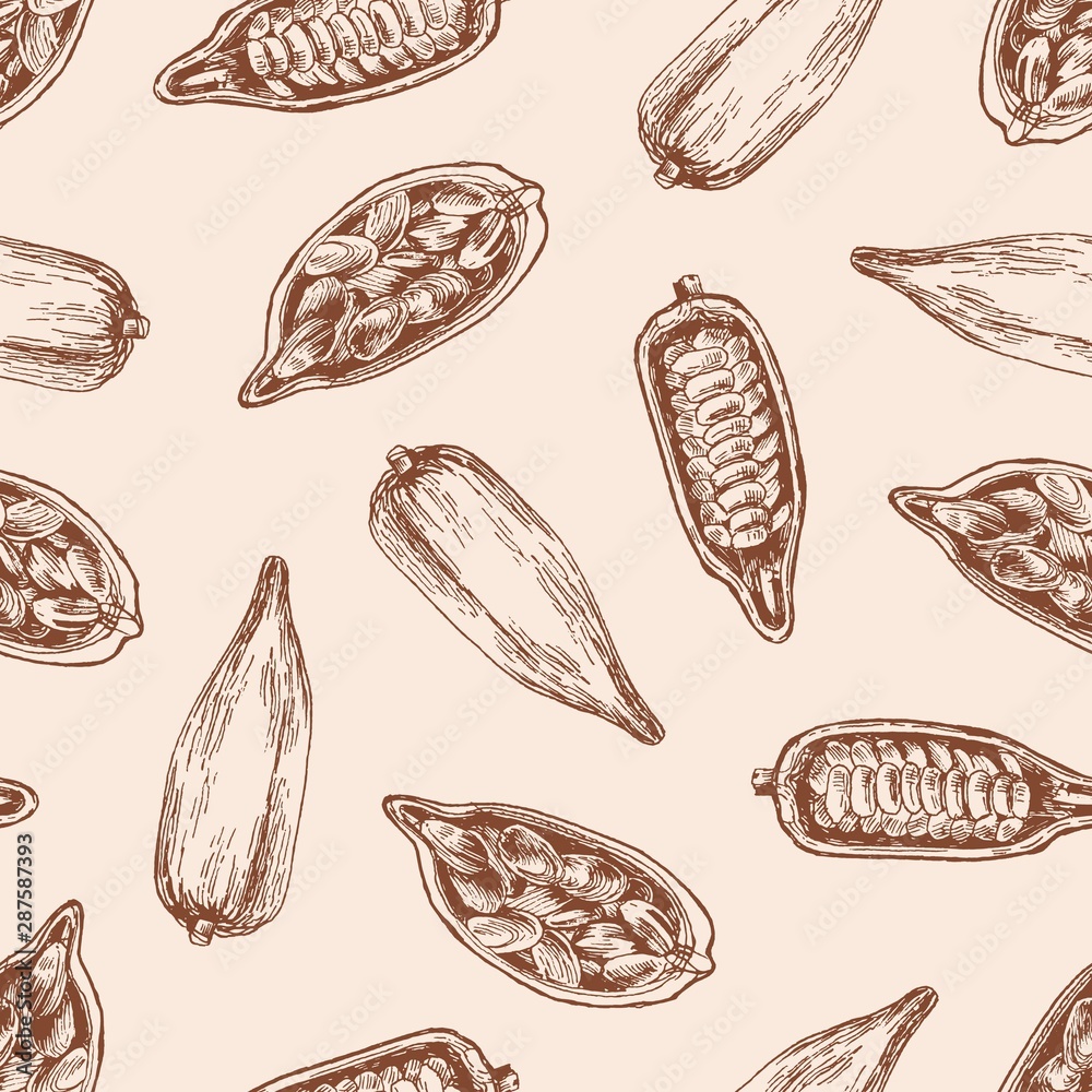 Cocoa Pod With Seeds Vector Seamless Pattern Cacao Sprout With Chocolate Beans On Pastel Background Organic Food Hand Drawn Exotic Plant Tropical Sweets Wrapping Paper Wallpaper Textile Design Stock Vector Adobe
