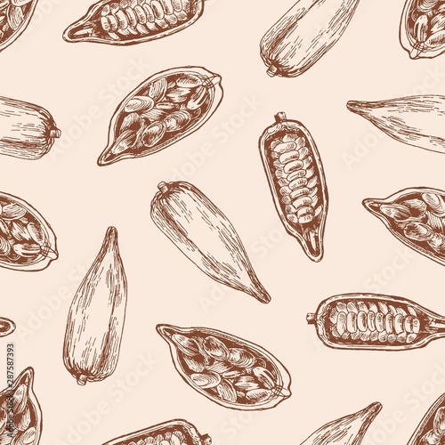 Cocoa pod with seeds vector seamless pattern. Cacao sprout with chocolate beans on pastel background. Organic food, hand drawn exotic plant. Tropical sweets wrapping paper, wallpaper textile design.