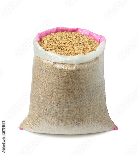 Bag of full paddy transparent sack (with clipping path) isolated on white background