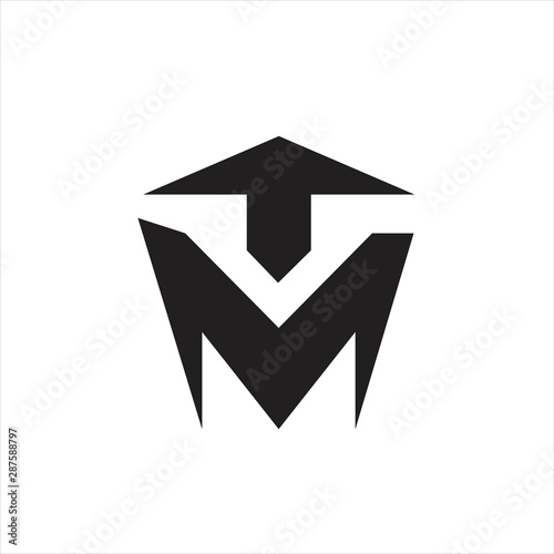 TM logo