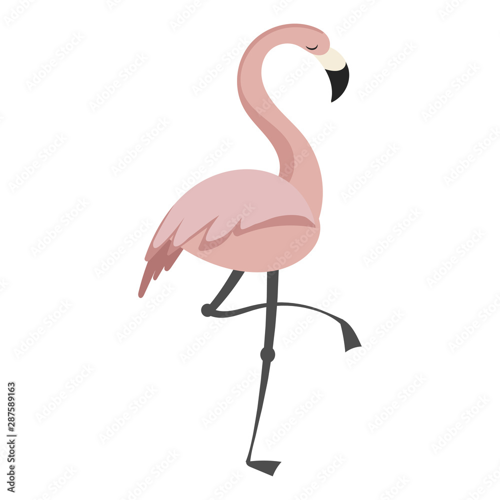 Cartoon flamingo. Vector illustration of a cute flamingo. Drawing birds for  children. Zoo for kids. Stock Vector | Adobe Stock