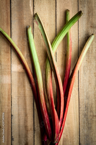 Tallos de ruibarbo apilados sobre tablas de madera
