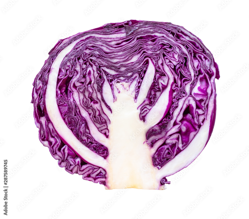 cross-section of head of red cabbage cut out cross-section of head of red cabbage cut out