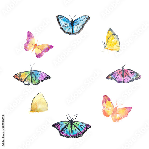 Set of beautiful butterfly on white background  watercolor hand painted 