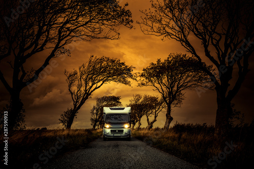 Wohnmobil in einer Baumallee