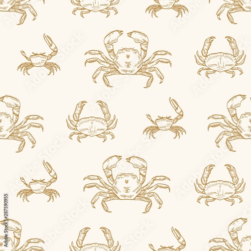 Sea crabs vector seamless pattern. Underwater animals species, marine crustaceans on pastel background. Delicacy seafood. Ocean creature with pincers wrapping paper, wallpaper textile design.