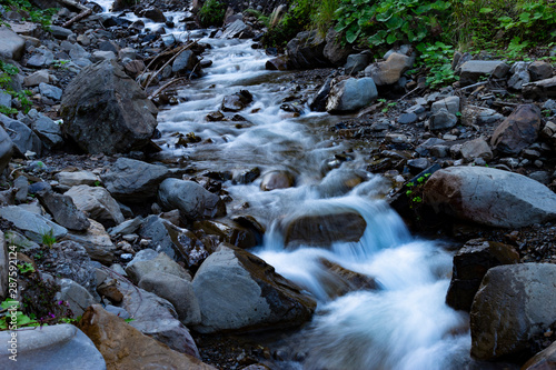 Stream in the forest