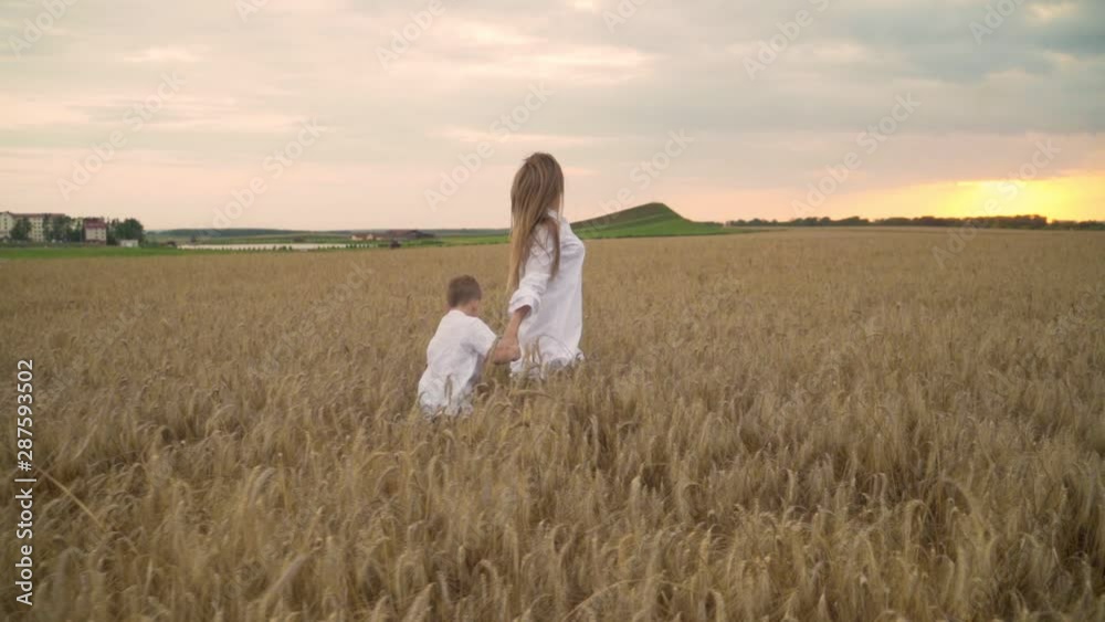 Mother and son run on the Golden wheat field, holding hands. The concept of motherhood, a happy family. Agriculture. Slow motion Mother and son run on the Golden wheat field, holding hands. The concept of motherhood, a happy family. Agriculture. Slow motion
