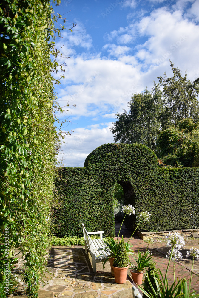 White bench in the garden