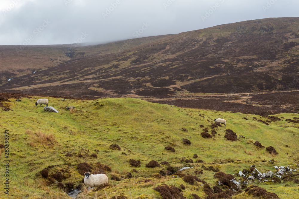 Obraz premium mountains at Scottish Highlands