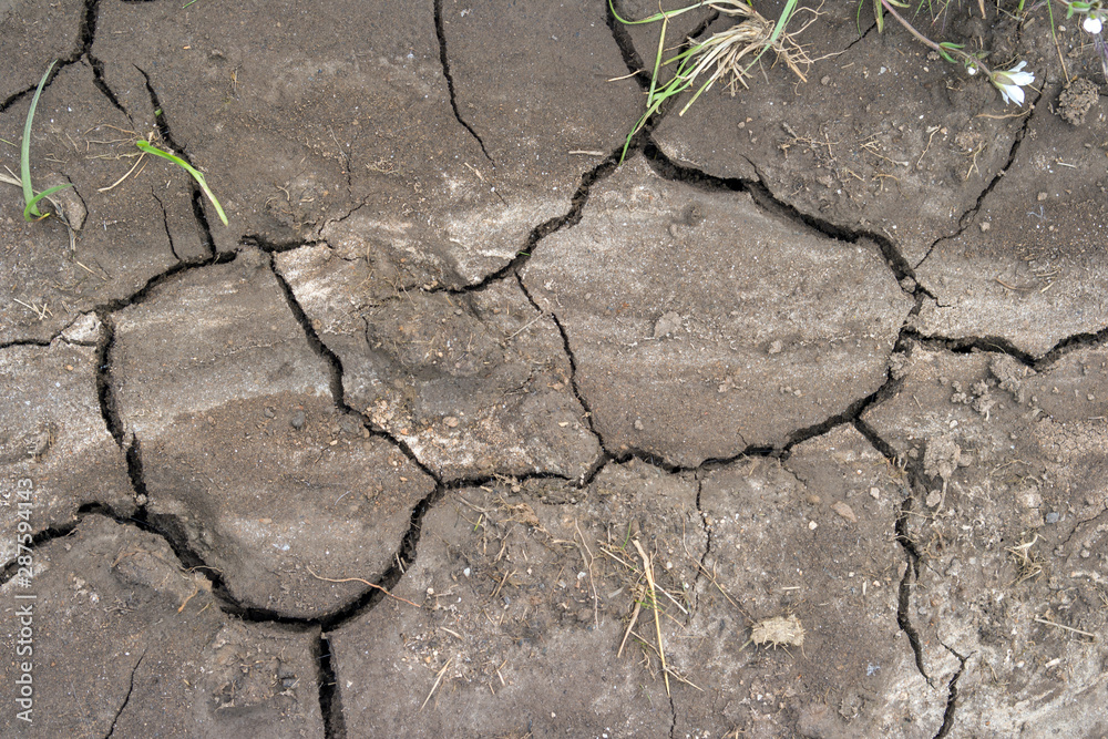 cracked earth texture cracked earth texture