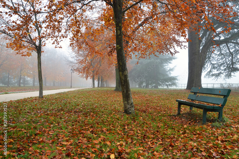 Autumn landscape in October in a village, with dead leaves and fog.With an empty bench in the grass.