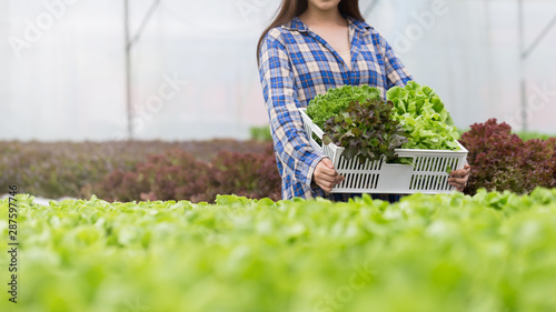 Close up female farmer holding vegetables basket in the greenhouse.
