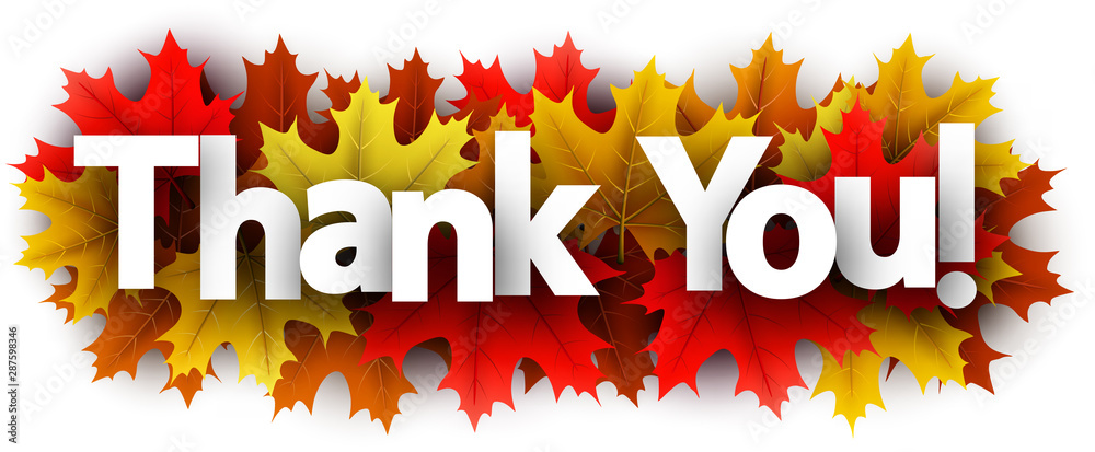 Autumn thank you sign with color maple leaves.