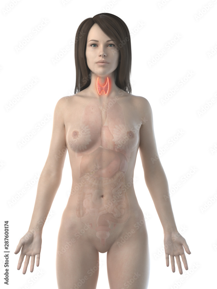Fototapeta premium 3d rendered illustration of an inflamed thyroid