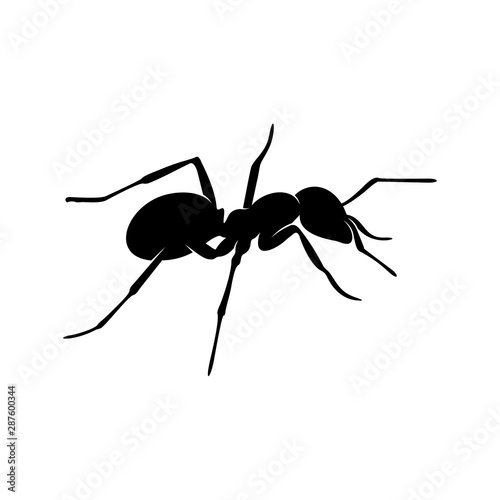 Ant Vector Design Logo. Ant Illustration With Various Shapes and Different movements © shuttersport