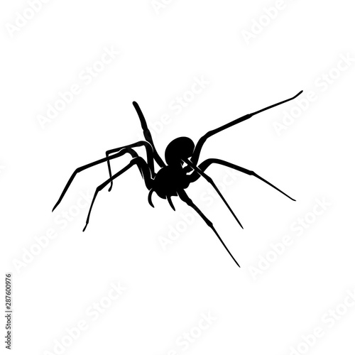 Spiders Vector Design Logo. Spiders Illustration With Various Shapes and Different movements