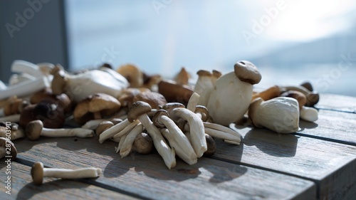 clos eup view on mix of exotic mushrooms by blurred backgroaund photo