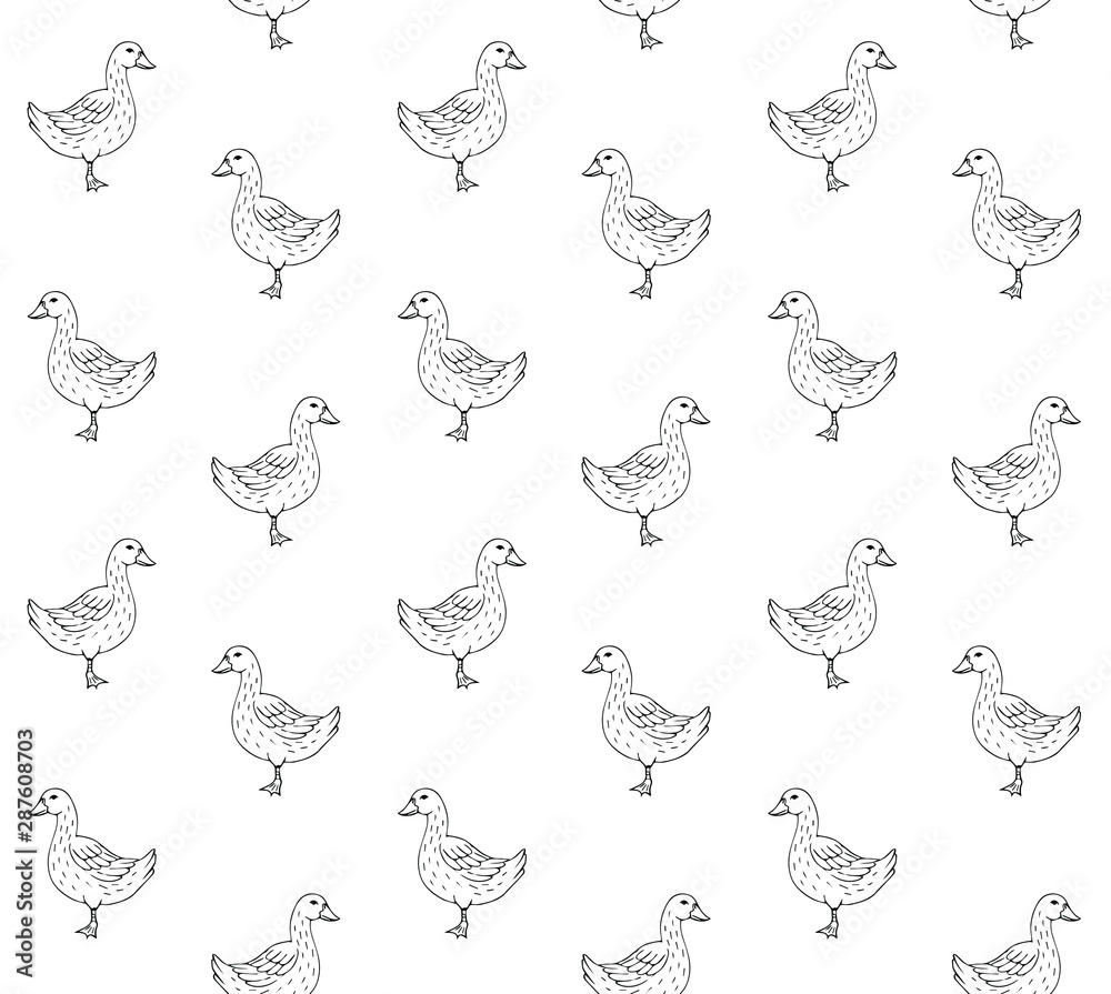 Fototapeta Vector seamless pattern of hand drawn duck isolated on white background
