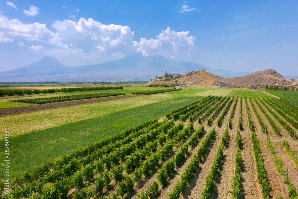 Khor Virap monastery and Armenian vineyards. shooting with the drone