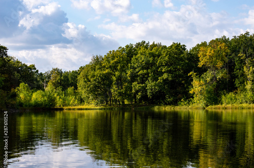 Lake in the forest