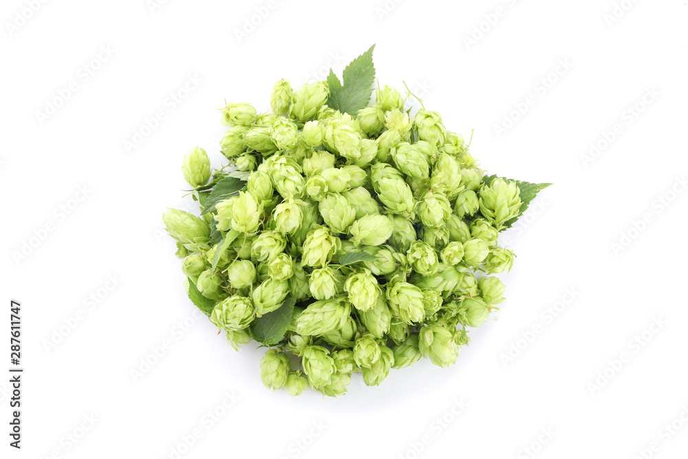 Heap of green hop isolated on white background Heap of green hop isolated on white background