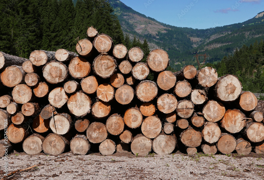 catasta di legname in alto adige