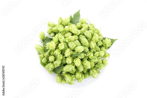 Heap of green hop isolated on white background