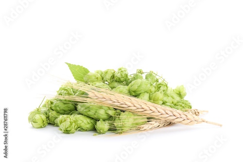 Hop cones and spikelets isolated on white background