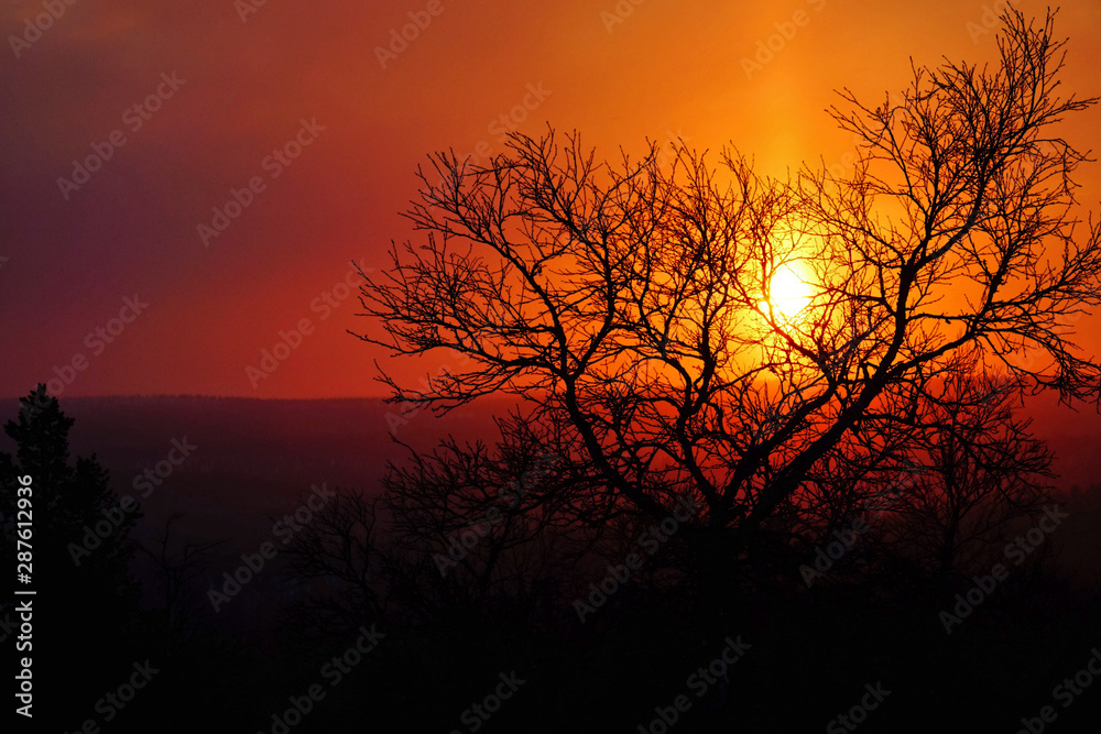 Fototapeta premium Coucher de soleil sur la Laponie Finlandaise en hiver