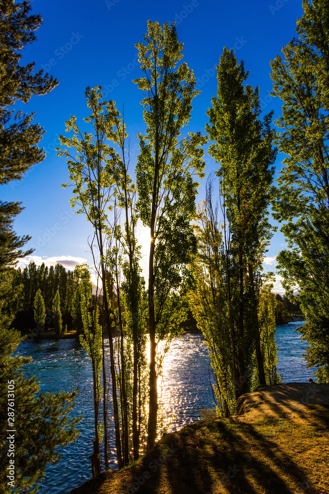 Obraz premium Sunset. The forest river