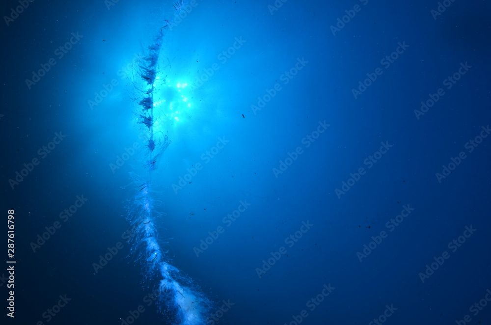 Fototapeta premium acuático piscina azul mar con textura natación verano claro oceáno abstracta recubrir turquesa dechado mecer olas aseado liquida diáfano mojado mecer olas acuático naturaleza alumbrado