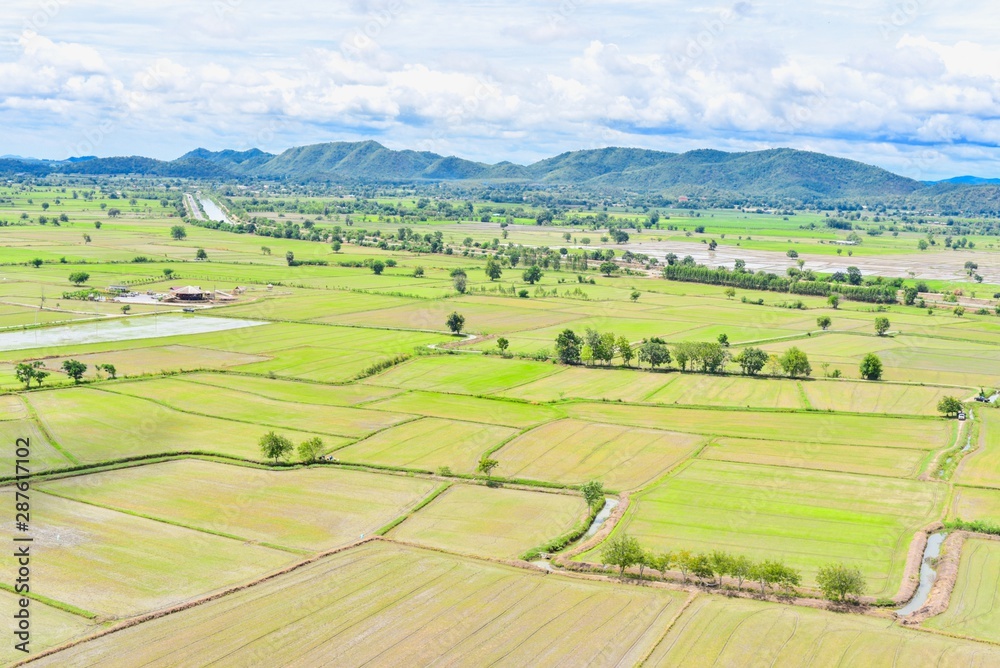 Beautiful Scenery of Rice Paddy Fields in Kanchanaburi Province