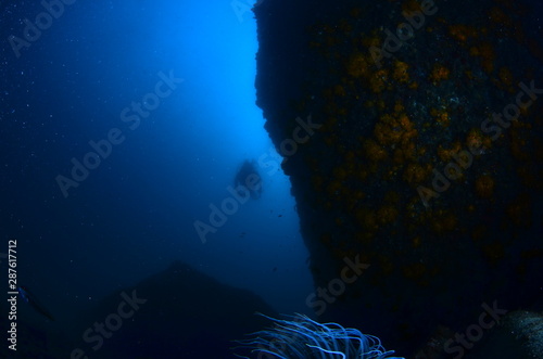 underwater photography in the mediterranean sea