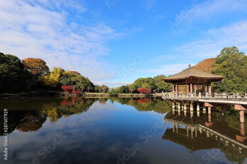 奈良公園の紅葉 © narautsu