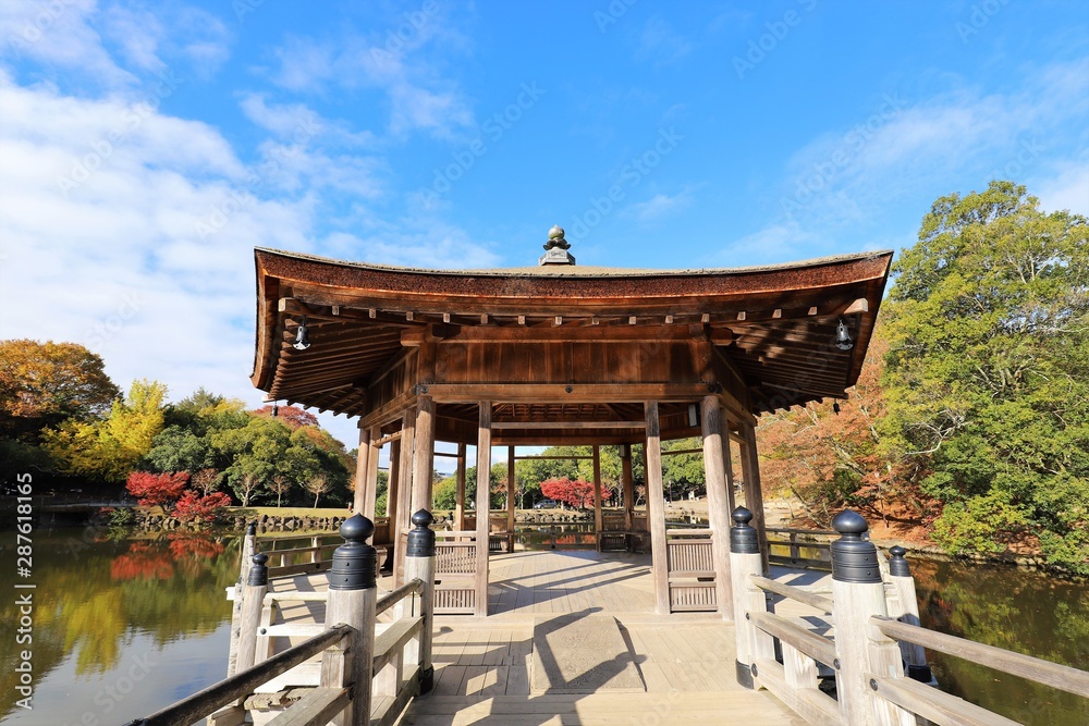 奈良公園の紅葉