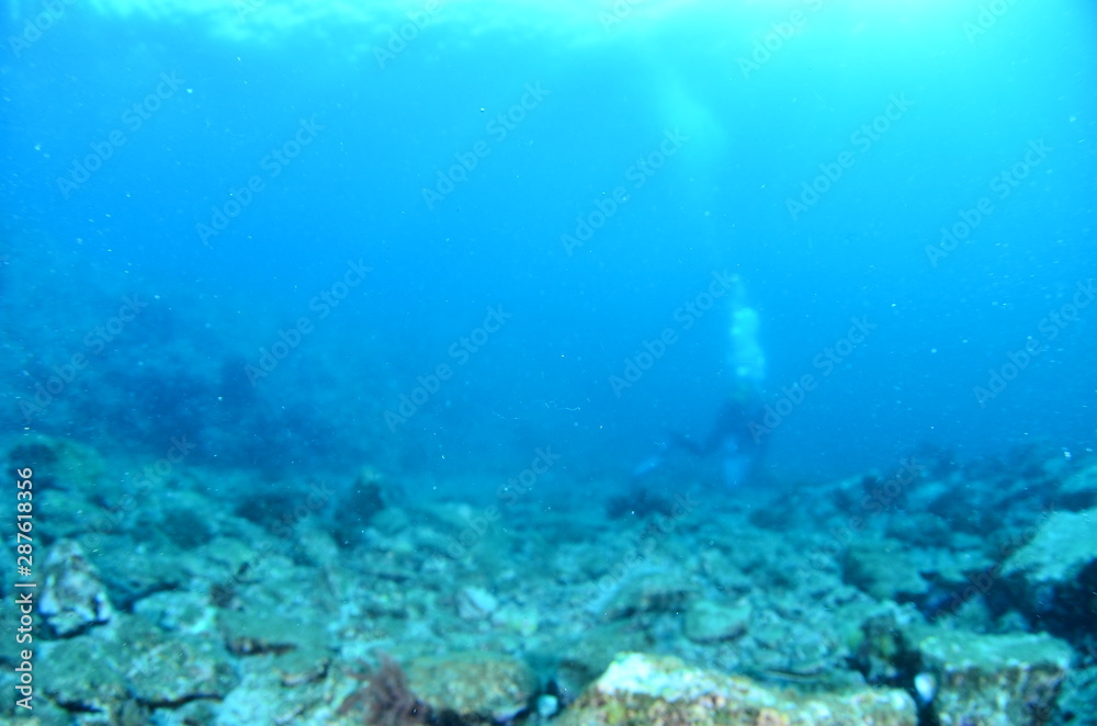 underwater photography in the mediterranean sea underwater photography in the mediterranean sea