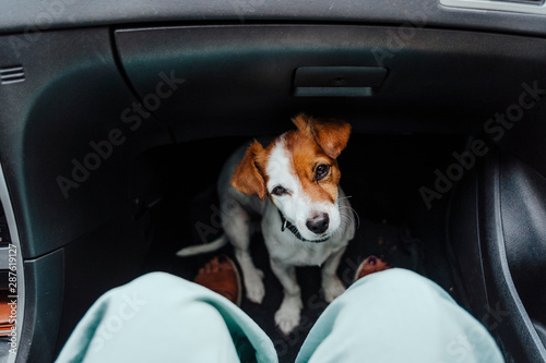 unrecognizable woman traveling by car with her cute small dog sitting on the floor and waiting for destination. Pets and travel concept