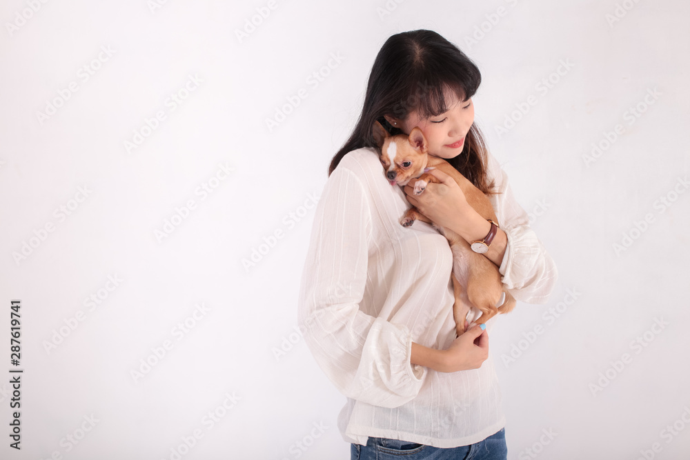 Young Asian female embracing adorable Chihuahua dog and closing eyes while standing against white background Young Asian female embracing adorable Chihuahua dog and closing eyes while standing against white background