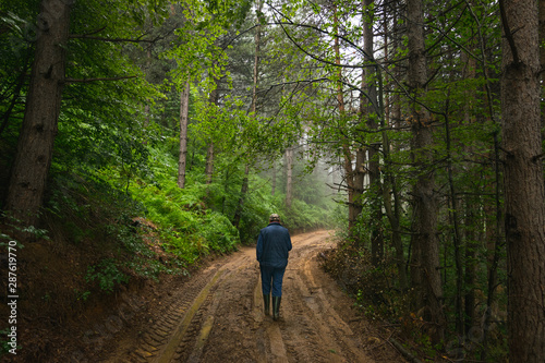 Man walking on dirty road through mountain forest © rastkobelic